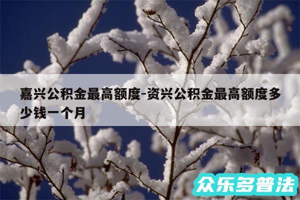嘉兴公积金最高额度-资兴公积金最高额度多少钱一个月