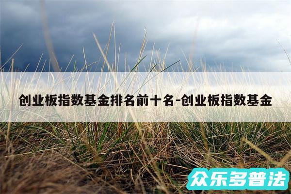 创业板指数基金排名前十名-创业板指数基金