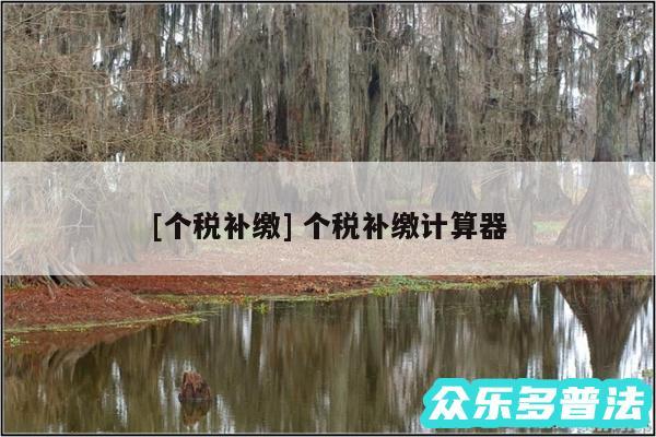 及个税补缴 个税补缴计算器