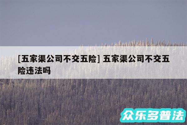 及五家渠公司不交五险 五家渠公司不交五险违法吗