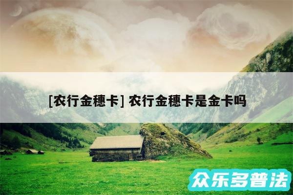 及农行金穗卡 农行金穗卡是金卡吗