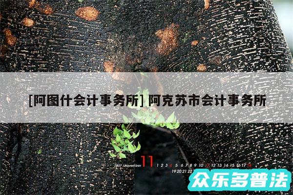 及阿图什会计事务所 阿克苏市会计事务所