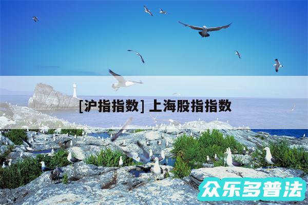 及沪指指数 上海股指指数