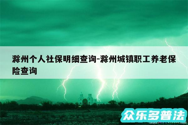 滁州个人社保明细查询-滁州城镇职工养老保险查询