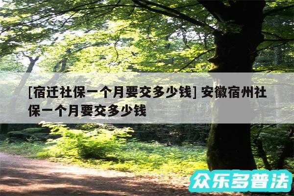 及宿迁社保一个月要交多少钱 安徽宿州社保一个月要交多少钱