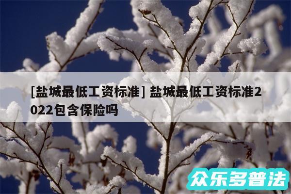 及盐城最低工资标准 盐城最低工资标准2024包含保险吗