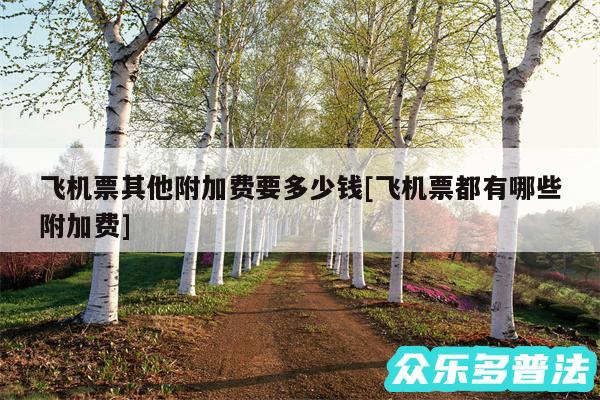 飞机票其他附加费要多少钱及飞机票都有哪些附加费