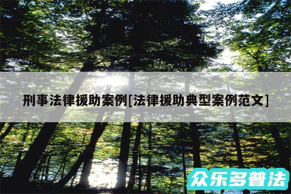 刑事法律援助案例及法律援助典型案例范文