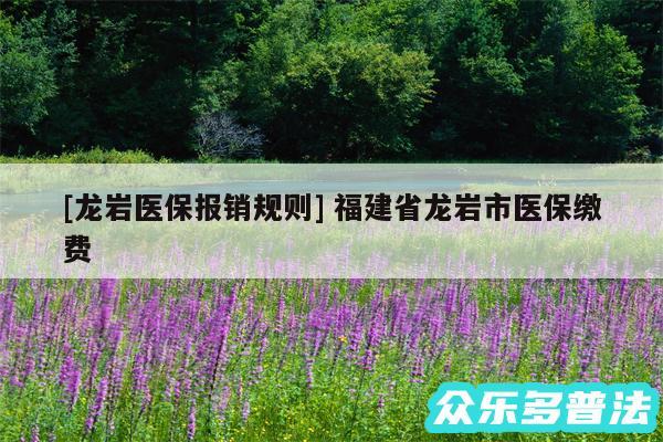 及龙岩医保报销规则 福建省龙岩市医保缴费
