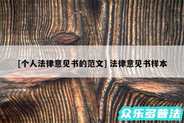 及个人法律意见书的范文 法律意见书样本