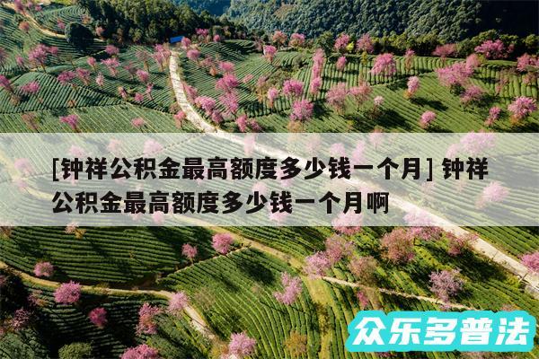 及钟祥公积金最高额度多少钱一个月 钟祥公积金最高额度多少钱一个月啊