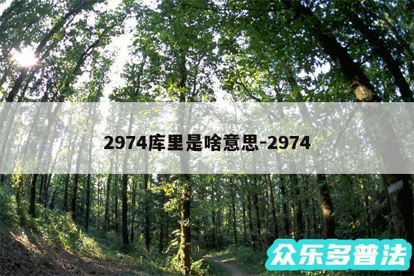 2974库里是啥意思-2974