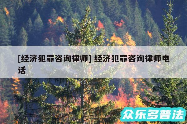 及经济犯罪咨询律师 经济犯罪咨询律师电话