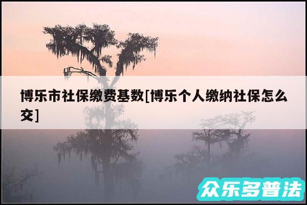 博乐市社保缴费基数及博乐个人缴纳社保怎么交