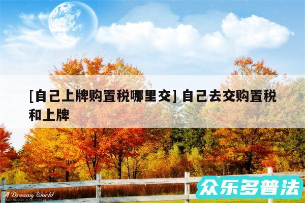 及自己上牌购置税哪里交 自己去交购置税和上牌