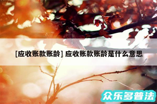 及应收账款账龄 应收账款账龄是什么意思