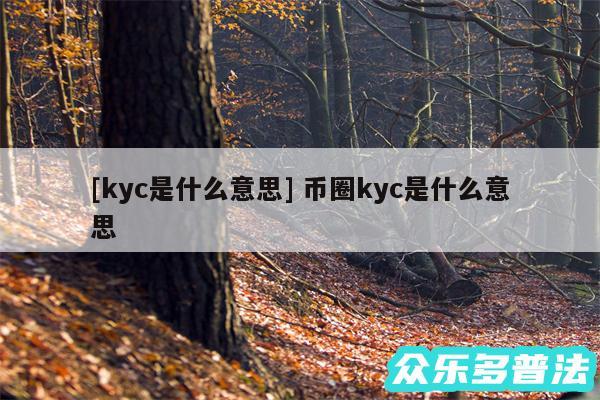 及kyc是什么意思 币圈kyc是什么意思