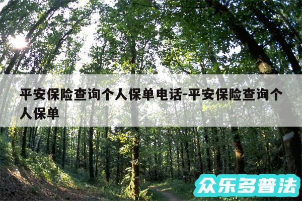 平安保险查询个人保单电话-平安保险查询个人保单