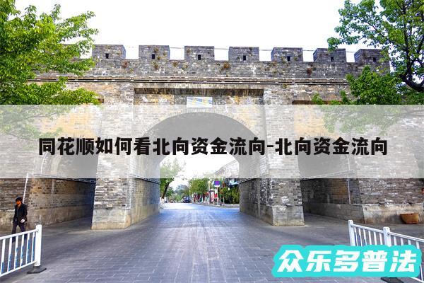同花顺如何看北向资金流向-北向资金流向