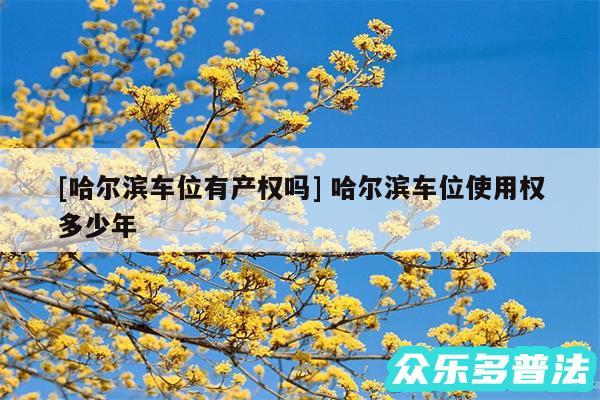及哈尔滨车位有产权吗 哈尔滨车位使用权多少年