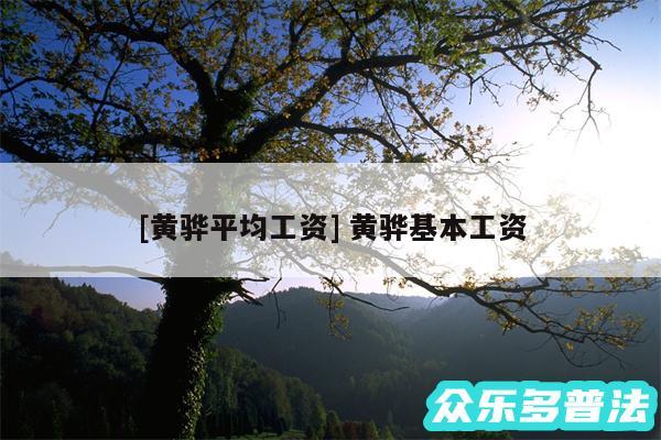 及黄骅平均工资 黄骅基本工资