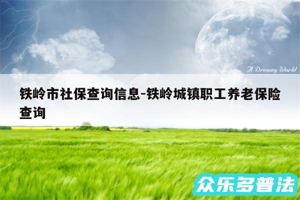 铁岭市社保查询信息-铁岭城镇职工养老保险查询