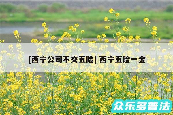 及西宁公司不交五险 西宁五险一金