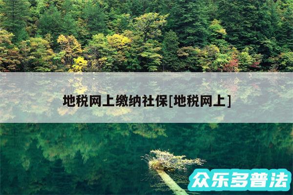 地税网上缴纳社保及地税网上