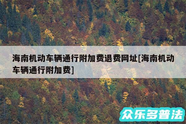 海南机动车辆通行附加费退费网址及海南机动车辆通行附加费
