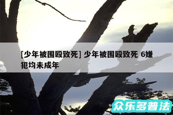 及少年被围殴致死 少年被围殴致死 6嫌犯均未成年
