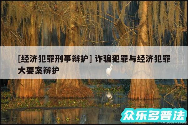 及经济犯罪刑事辩护 诈骗犯罪与经济犯罪大要案辩护