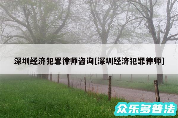 深圳经济犯罪律师咨询及深圳经济犯罪律师