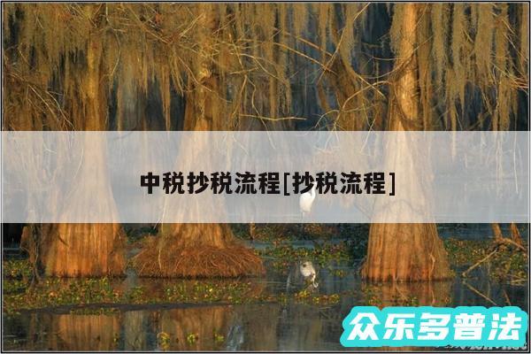 中税抄税流程及抄税流程
