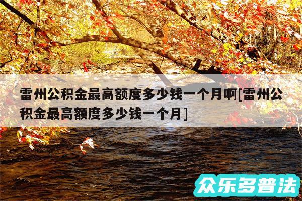 雷州公积金最高额度多少钱一个月啊及雷州公积金最高额度多少钱一个月