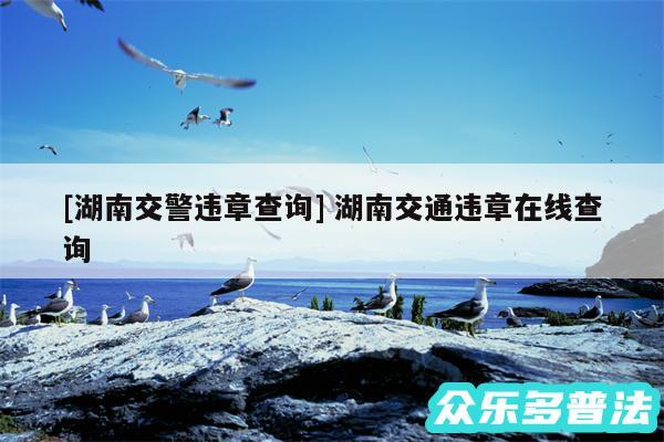 及湖南交警违章查询 湖南交通违章在线查询