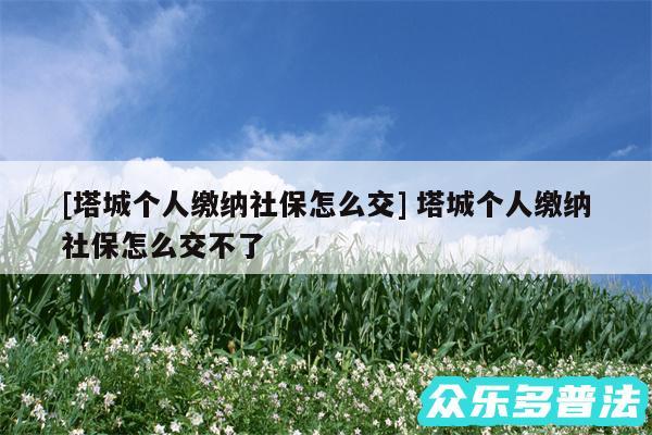 及塔城个人缴纳社保怎么交 塔城个人缴纳社保怎么交不了