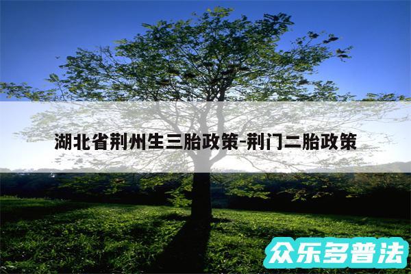 湖北省荆州生三胎政策-荆门二胎政策