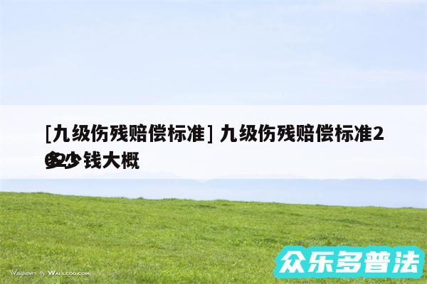 及九级伤残赔偿标准 九级伤残赔偿标准2024多少钱大概