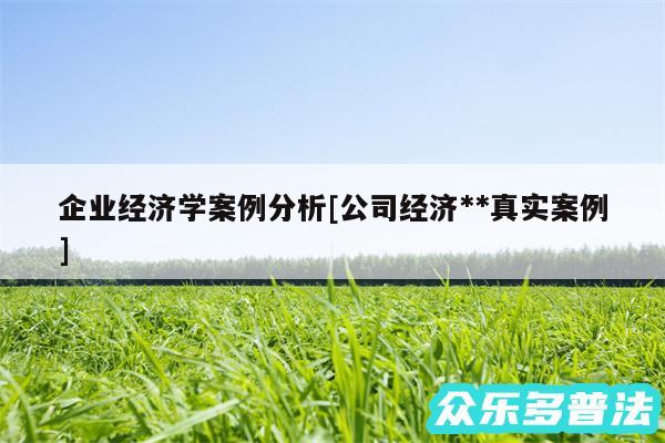 企业经济学案例分析及公司经济**真实案例
