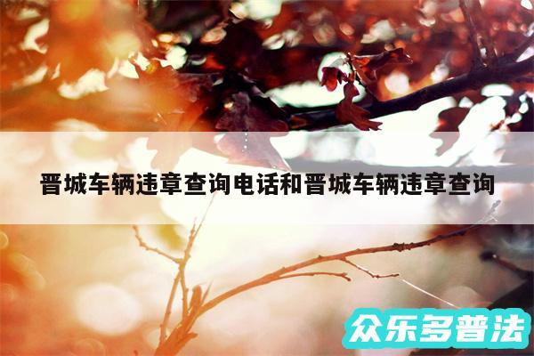 晋城车辆违章查询电话和晋城车辆违章查询
