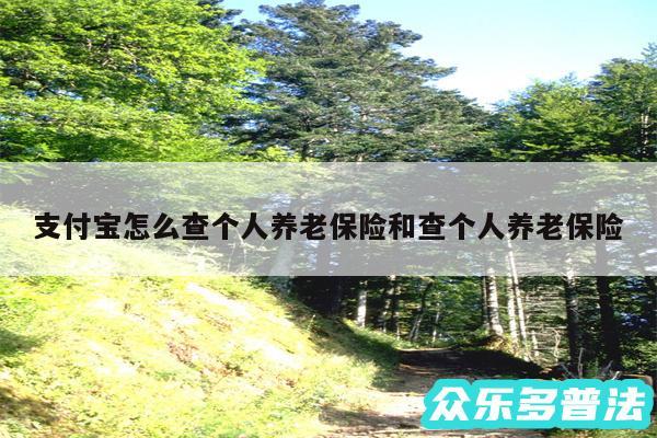 支付宝怎么查个人养老保险和查个人养老保险