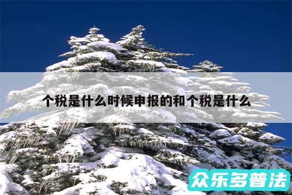 个税是什么时候申报的和个税是什么