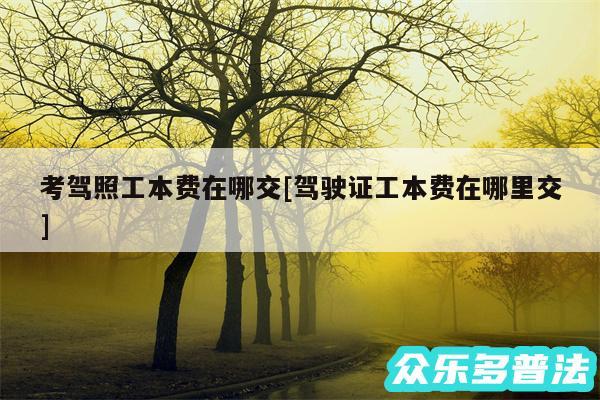 考驾照工本费在哪交及驾驶证工本费在哪里交