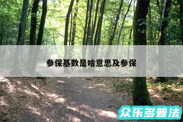 参保基数是啥意思及参保