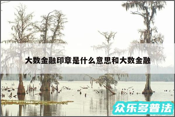 大数金融印章是什么意思和大数金融