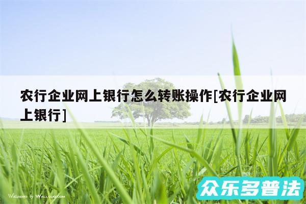 农行企业网上银行怎么转账操作及农行企业网上银行