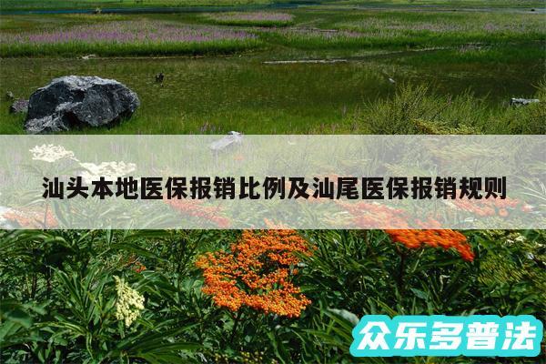 汕头本地医保报销比例及汕尾医保报销规则