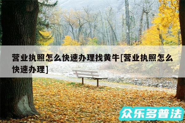 营业执照怎么快速办理找黄牛及营业执照怎么快速办理
