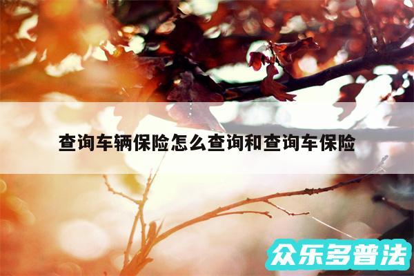 查询车辆保险怎么查询和查询车保险