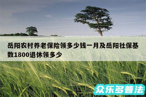 岳阳农村养老保险领多少钱一月及岳阳社保基数1800退休领多少